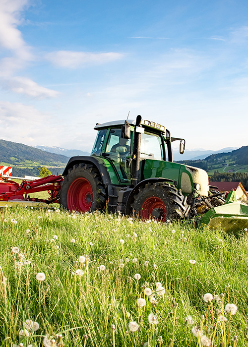 Trecker auf Wiese